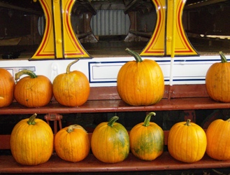 flavorista_pumpkins