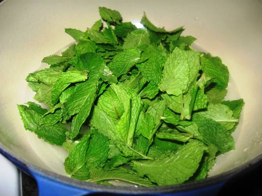 mint_syrup_1